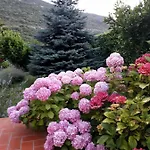 Tia Apartament