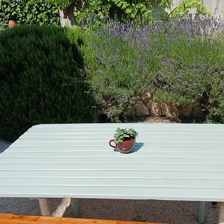 アパート Tia ネウム