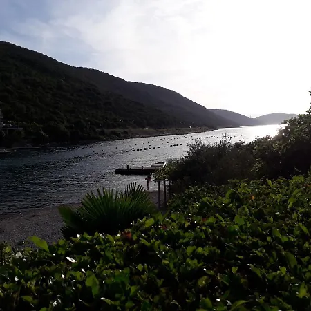 Tia * Neum