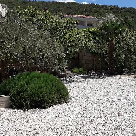 Tia * Neum